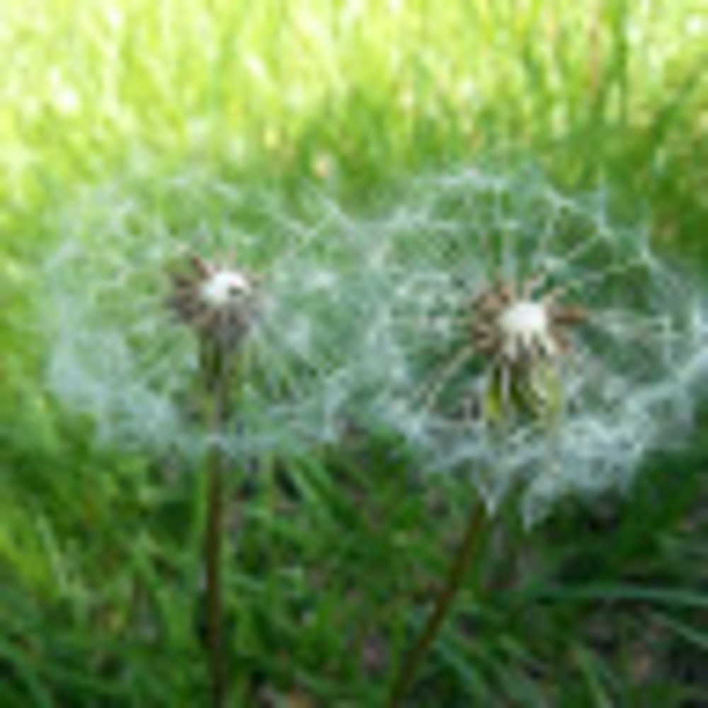 Meet your Posher, Matea